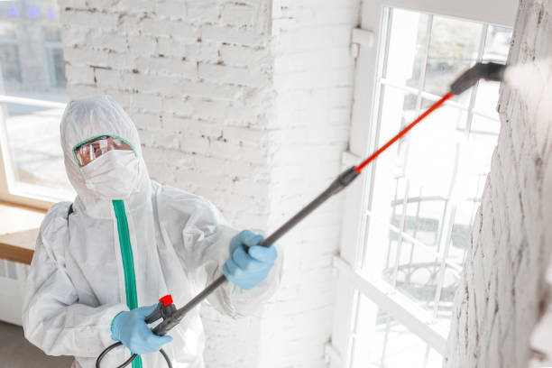 Best Indoor Air Quality Assessment  in Dundee, NY
